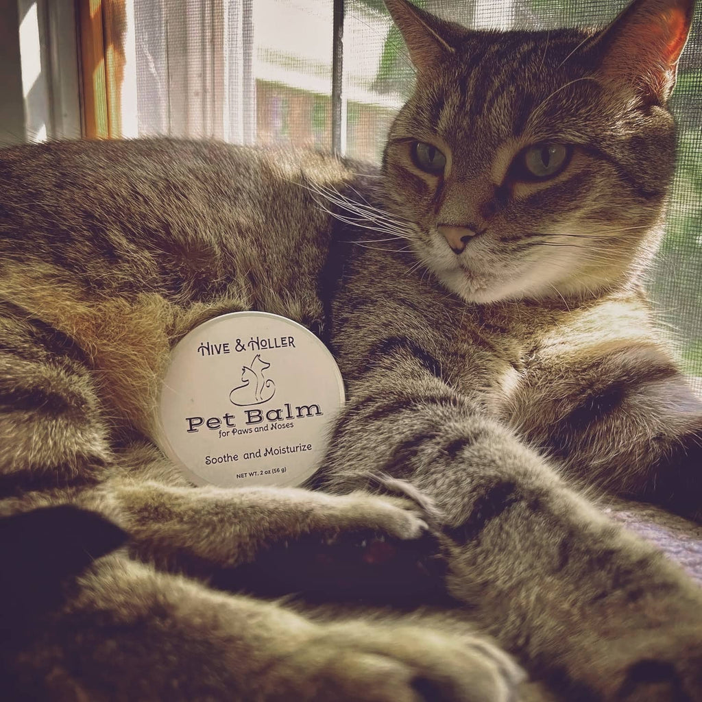 Hive and Holler Hive and Holler Pet Balm