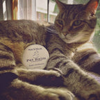 Hive and Holler Hive and Holler Pet Balm