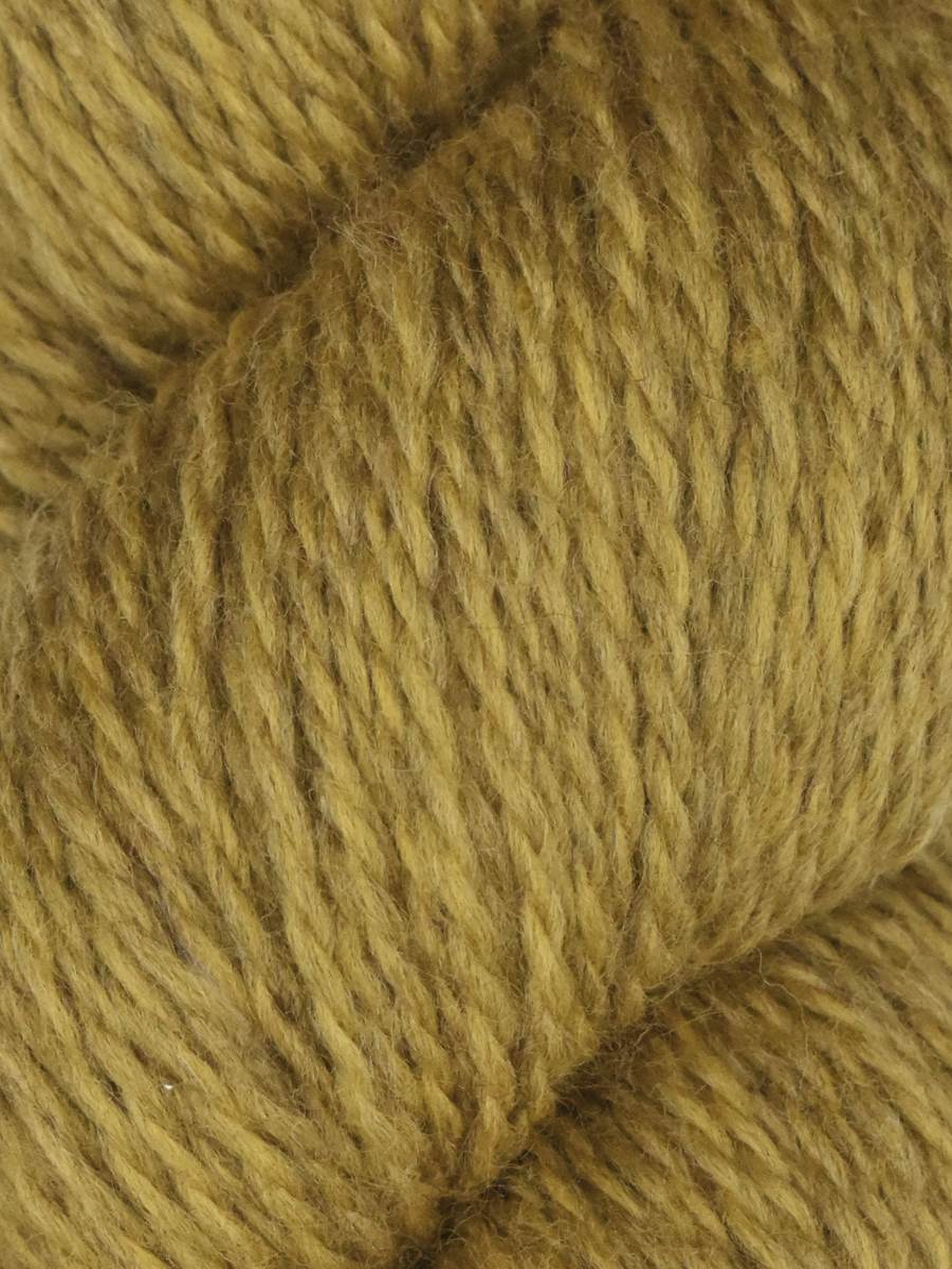 Rambouillet by Juniper Moon
