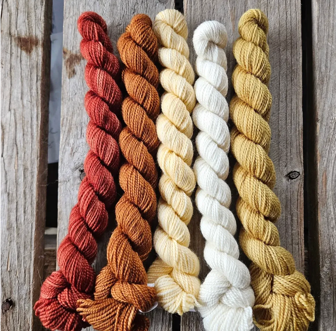 Quintet Shawlette Paint Can Kit by Koigu